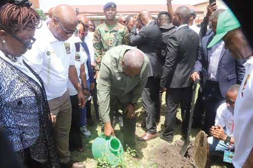 Mahama Launches Tree For Life Initiative