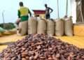 Ghana’s cocoa export