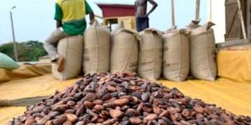 Ghana’s cocoa export