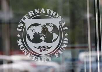 IMF ECG privatisation