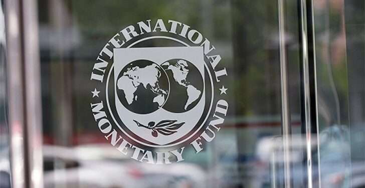 IMF ECG privatisation