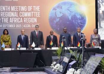 ISA: Leaders Chorus ‘ACTION’ at Solar Energy Africa Regional Committee Meeting