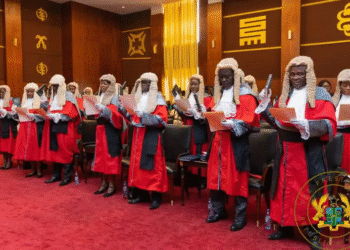 Third arm government