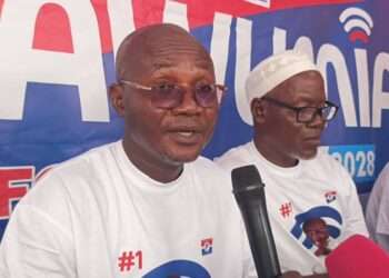 NPP Bawumia group