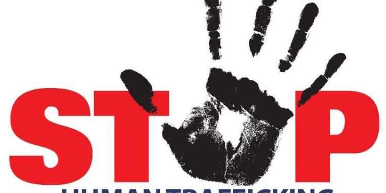 Businessman trafficking Nigerians