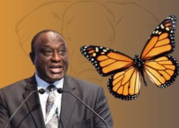 United Party NPP Alan