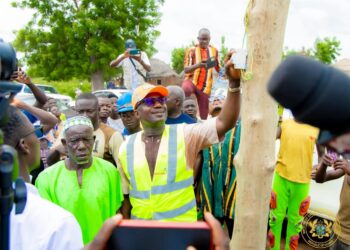 Electricity Energy Minister