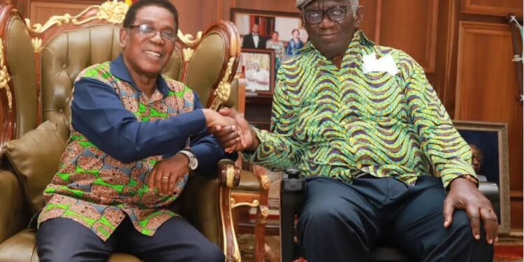 Visiting the gentle giant at Peduase