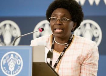 Adults healthy meals