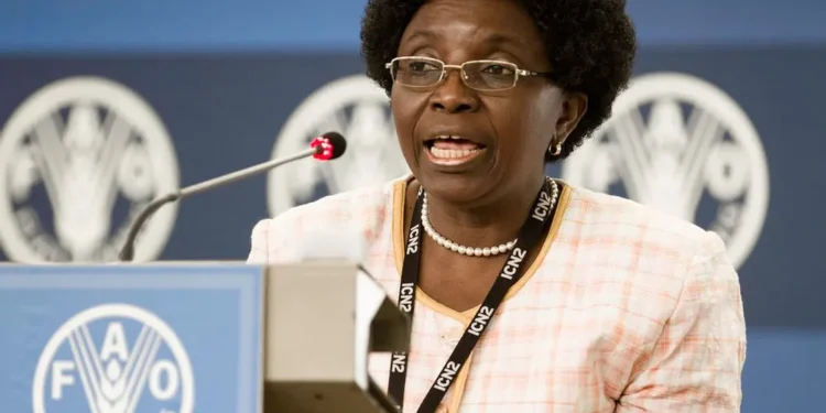 Adults healthy meals