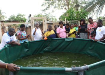 KGL catfish farming