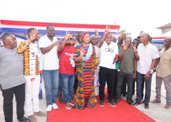 Nsawam-Adoagyiri NPP Coordinators