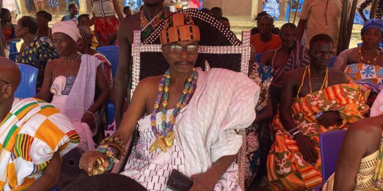 Agave Hlitabo Gadagbe