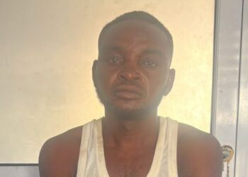 Killer police Zebilla