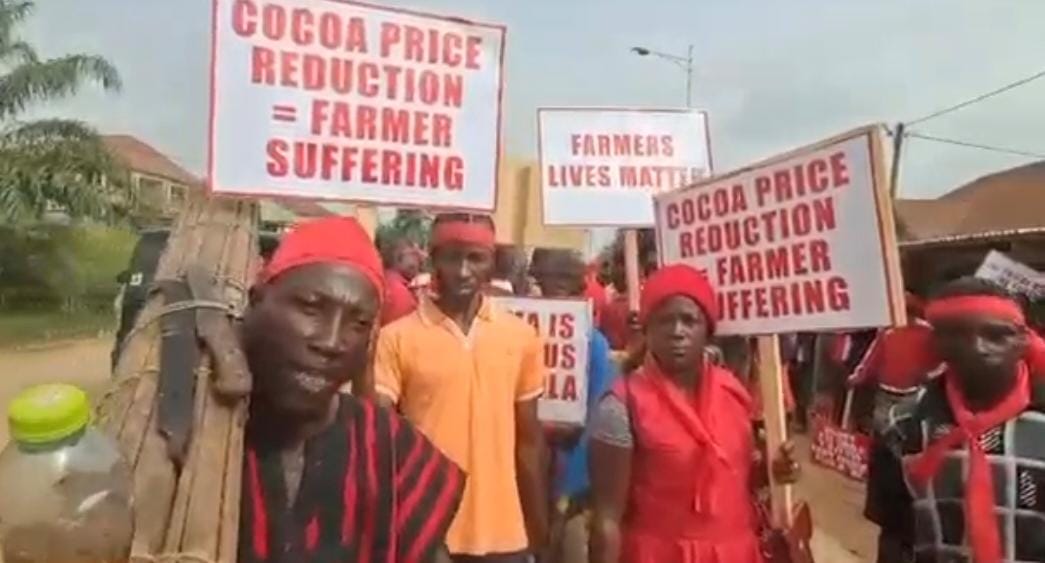 Cocoa farmers protest