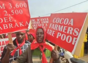 Cocoa farmers protest
