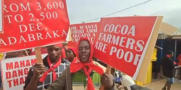 Cocoa farmers protest