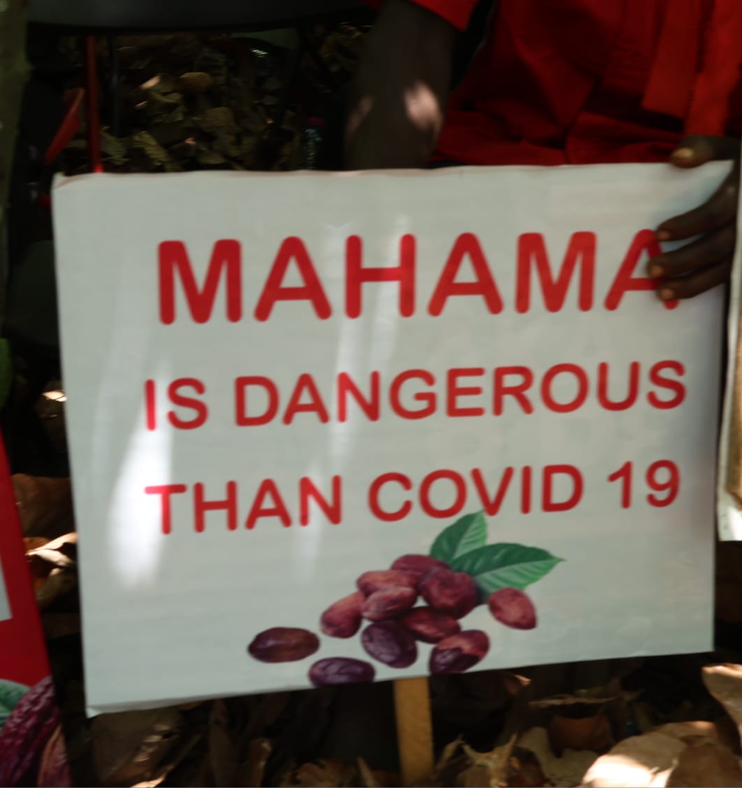 Ashanti cocoa farmers