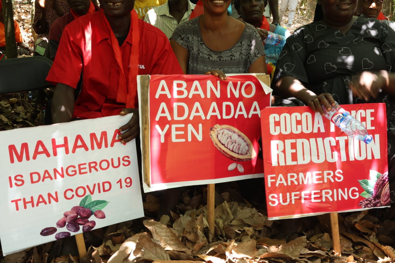 Ashanti cocoa farmers