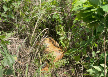 Spiritualist killing girlfriend