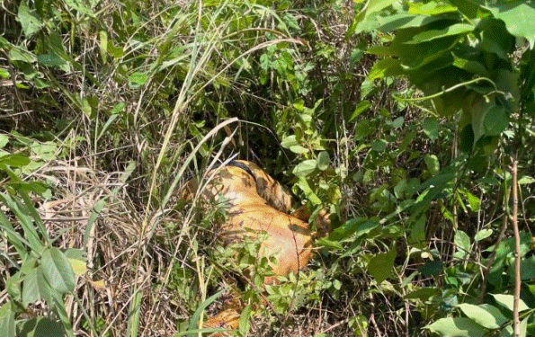 Spiritualist killing girlfriend