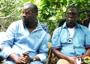 Cocoa price Akufo-Addo