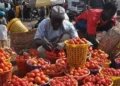 Tomato Burkina Faso