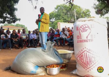 Annoh-Dompreh Minister