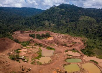 Galamsey medicinal plants