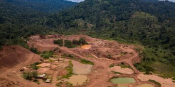 Galamsey medicinal plants