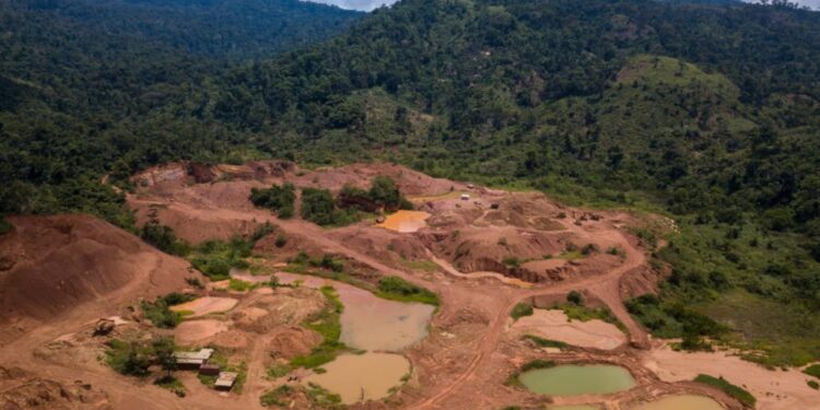Galamsey medicinal plants