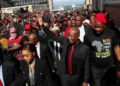South African opposition figure Malema to face five years in prison
