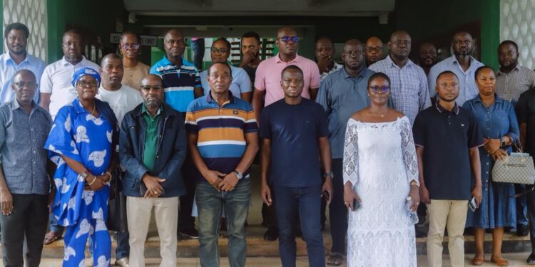 STMA sanitation courts