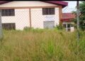 Weeds 1D1F starch factory