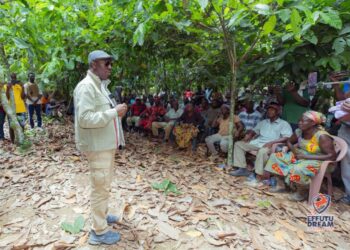 Minority cocoa Central Region
