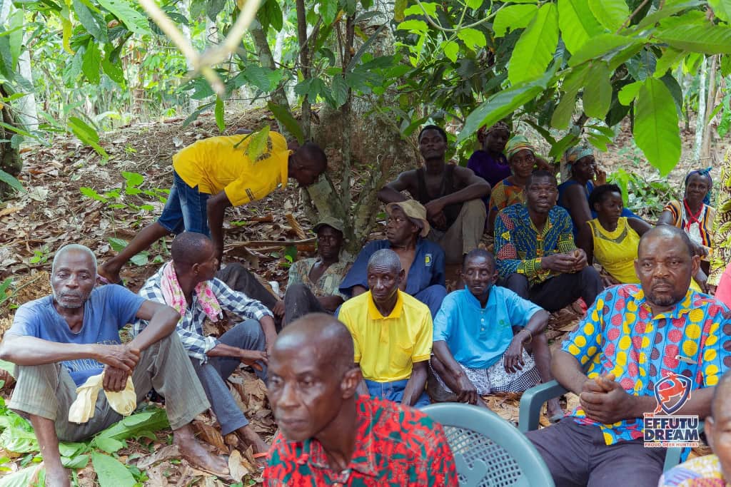 Minority cocoa Central Region