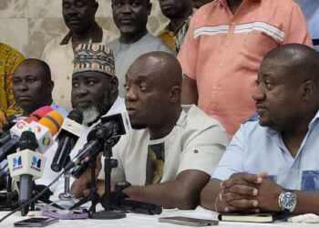 NPP Sector Committees