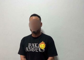 Adwoa Safo brother arrested