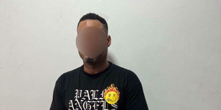 Adwoa Safo brother arrested