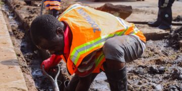 Zoomlion NADMO flood