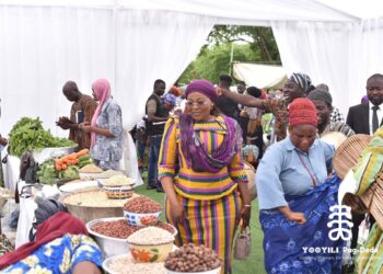 Savelugu MP empowers 500 women in agriculture and trade