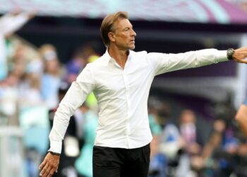 Hervé Renard Tunisia