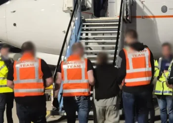South African deported Ireland