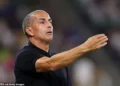 Tunisia coach