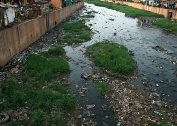 Flood clean-up