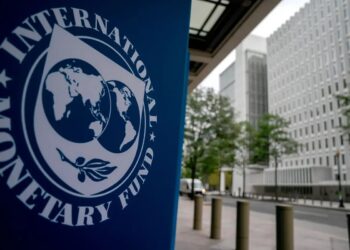 ActionAid Federation IMF