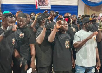 NPP Lions security