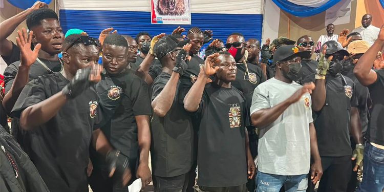 NPP Lions security