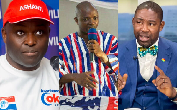 NPP regional chairmen