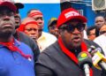 NPP democracy